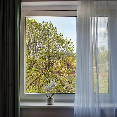 Green Studio Gdynia Gdyně